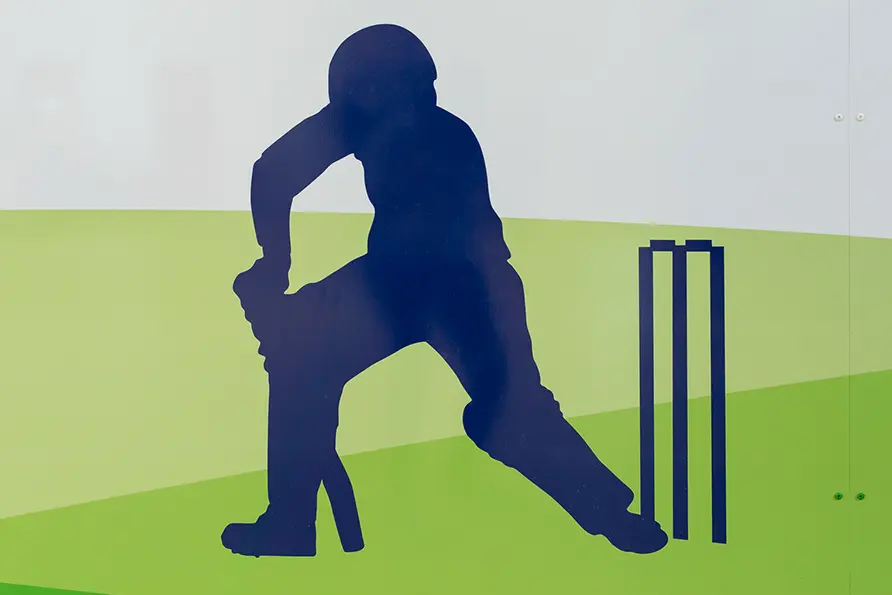 St Edwards cricket graphic from sports hall wall art