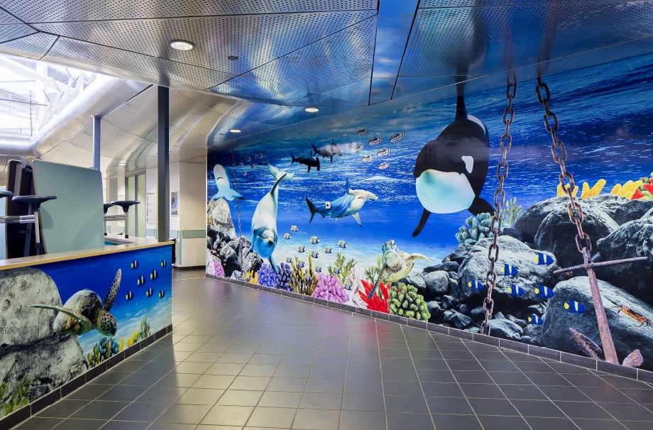 Torquay Academy Wall Art for underwater atrium