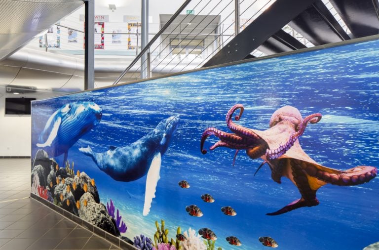 Devon Torquay Academy deep sea themed welcome area wall art