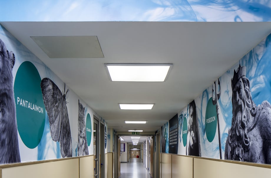 Harlow School English subject themed corridor Wall Art