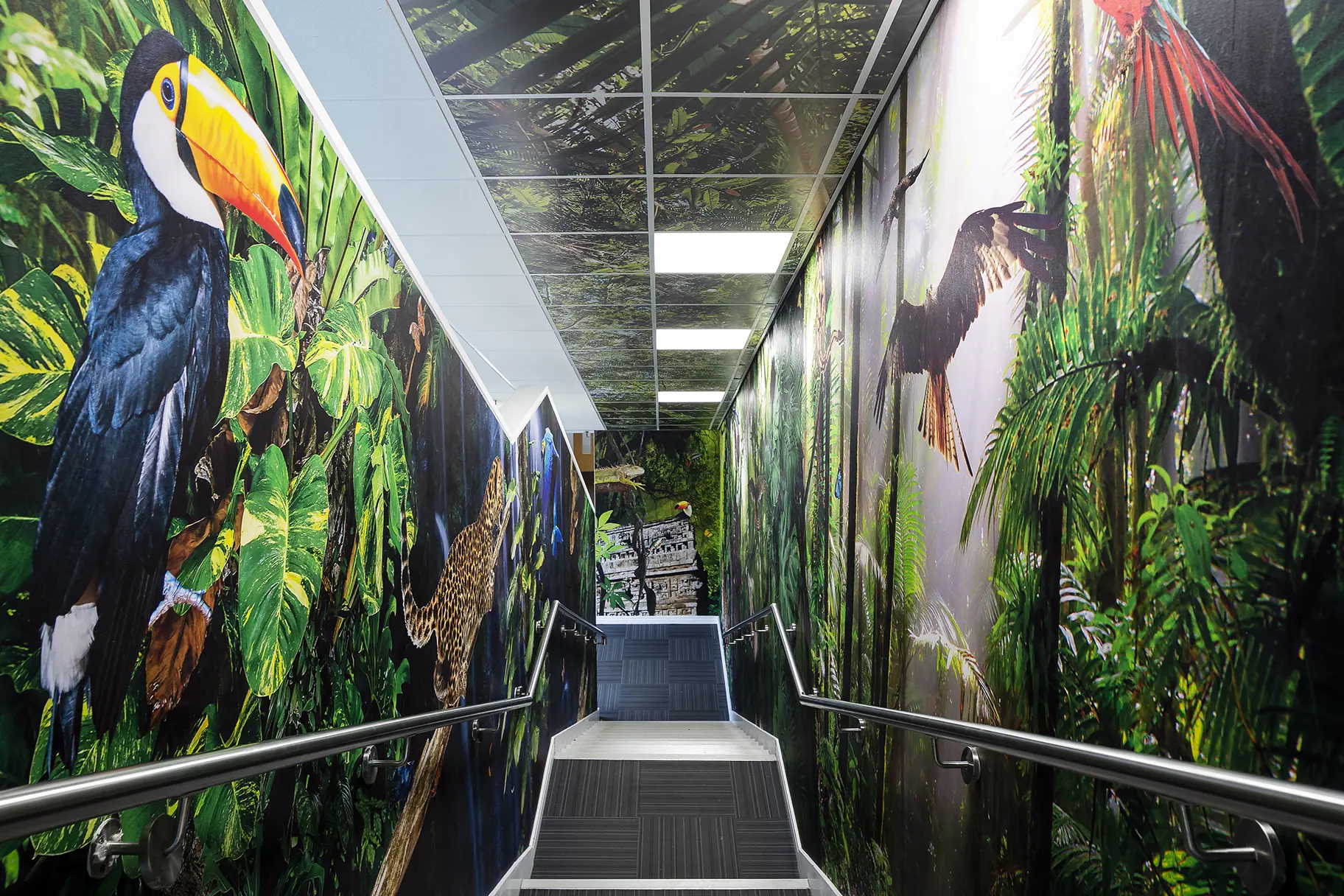 Fredrick Bird Primary School rainforest stairway wall art