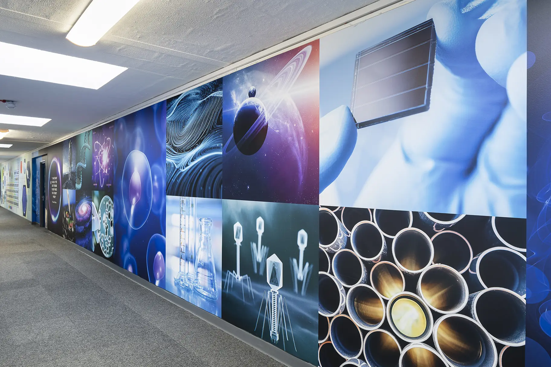 The Forest School Science Corridor Wall Art