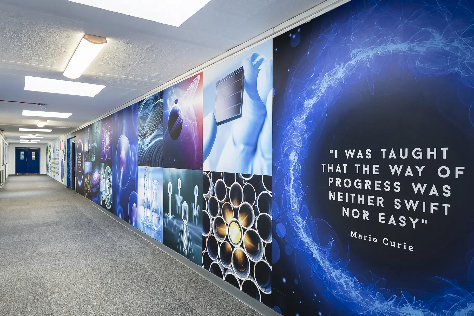 The Forest School Science Corridor Wall Art