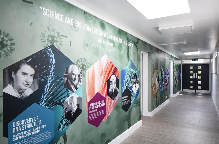School wall graphics science corridor