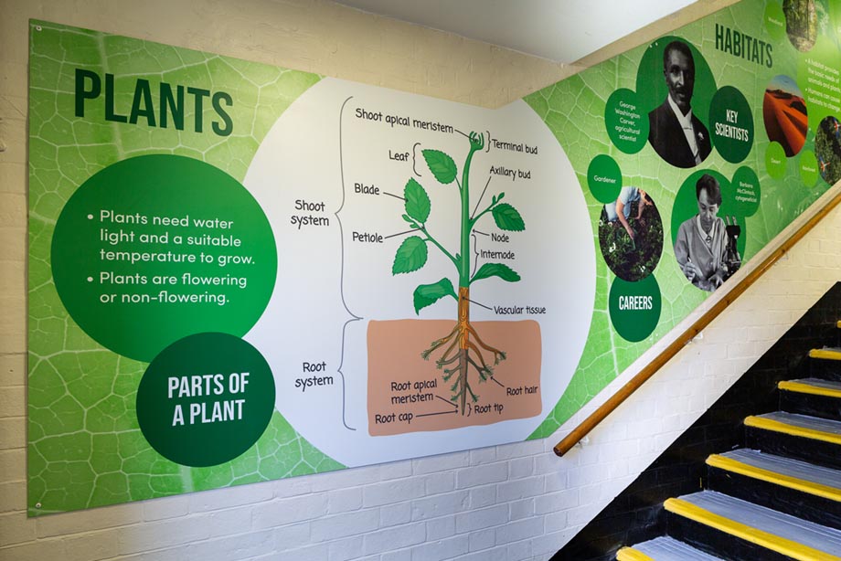 Central Park Primary Science wall art