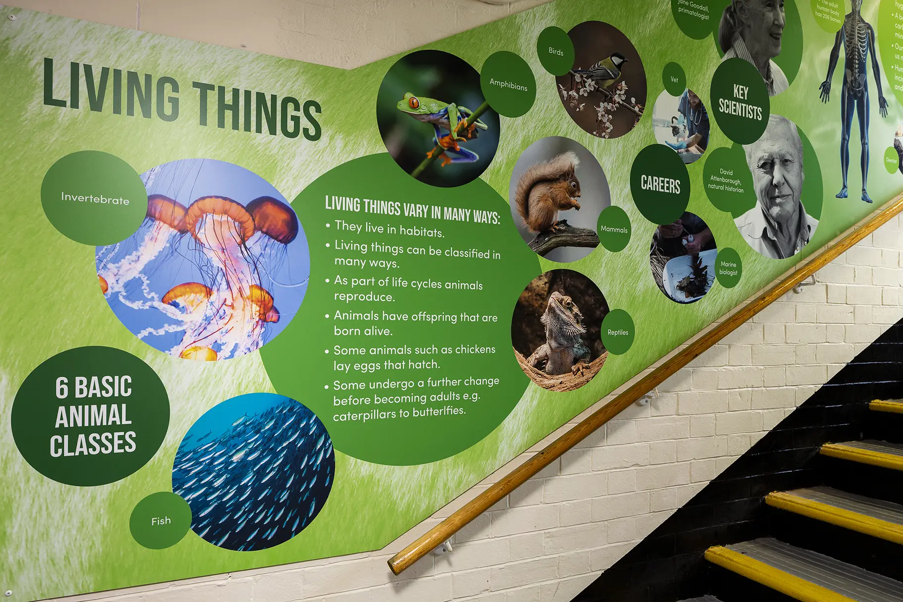 Central Park Primary Science wall art