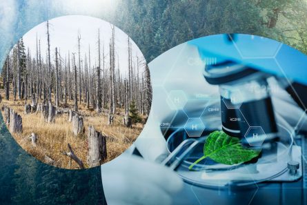 The Whitby High School Environmental Science - Promote Your School