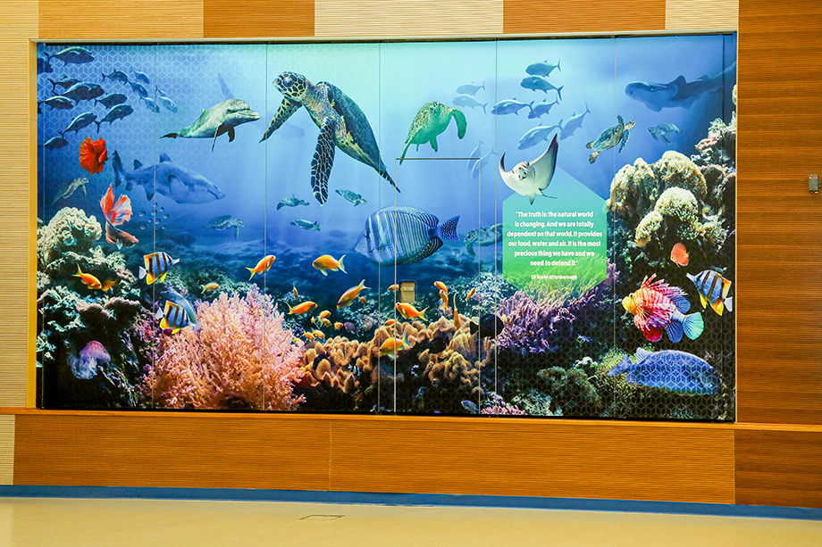 PDO School, Oman, Aquarium Wall Art - Promote Your School