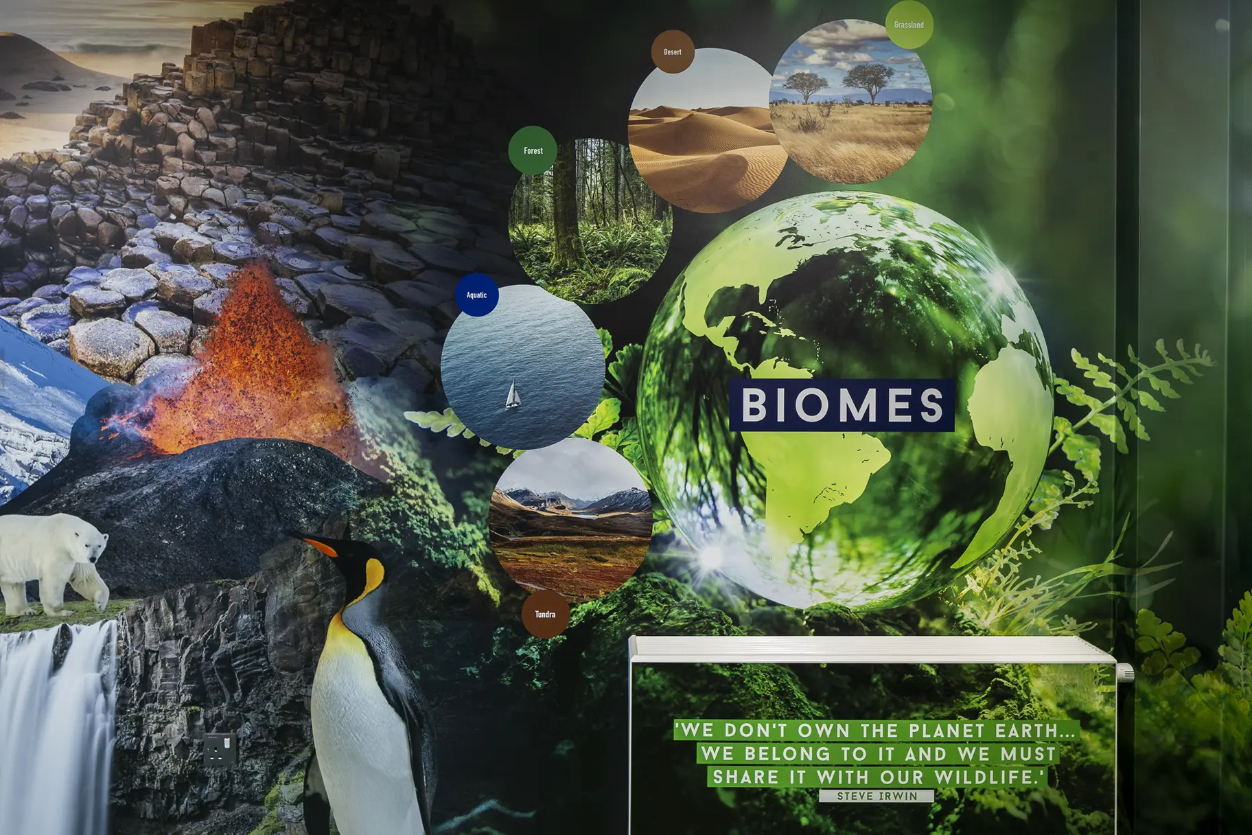 Chapel hill primary school environmental awareness wall art