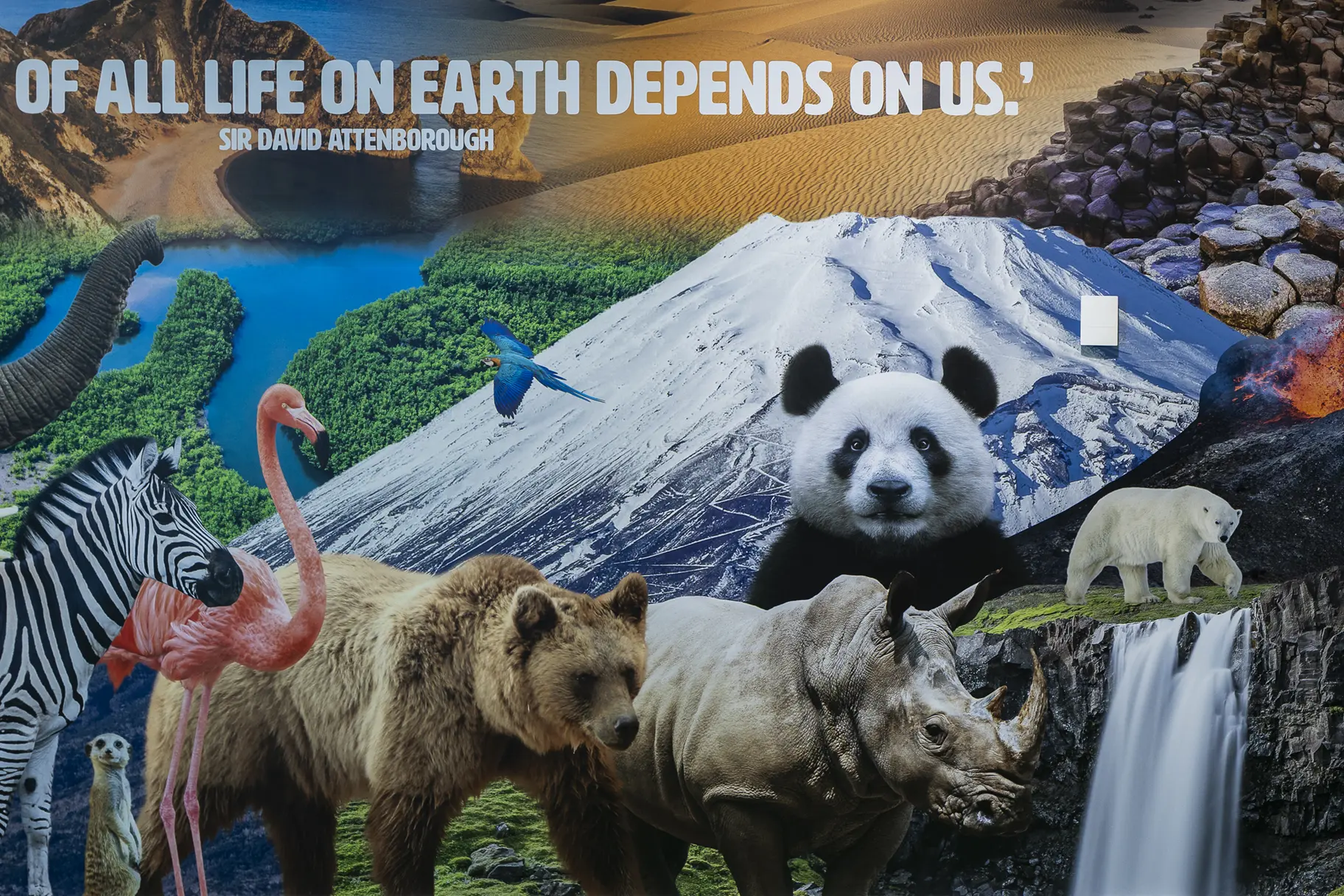 Chapel hill primary school environmental awareness wall art