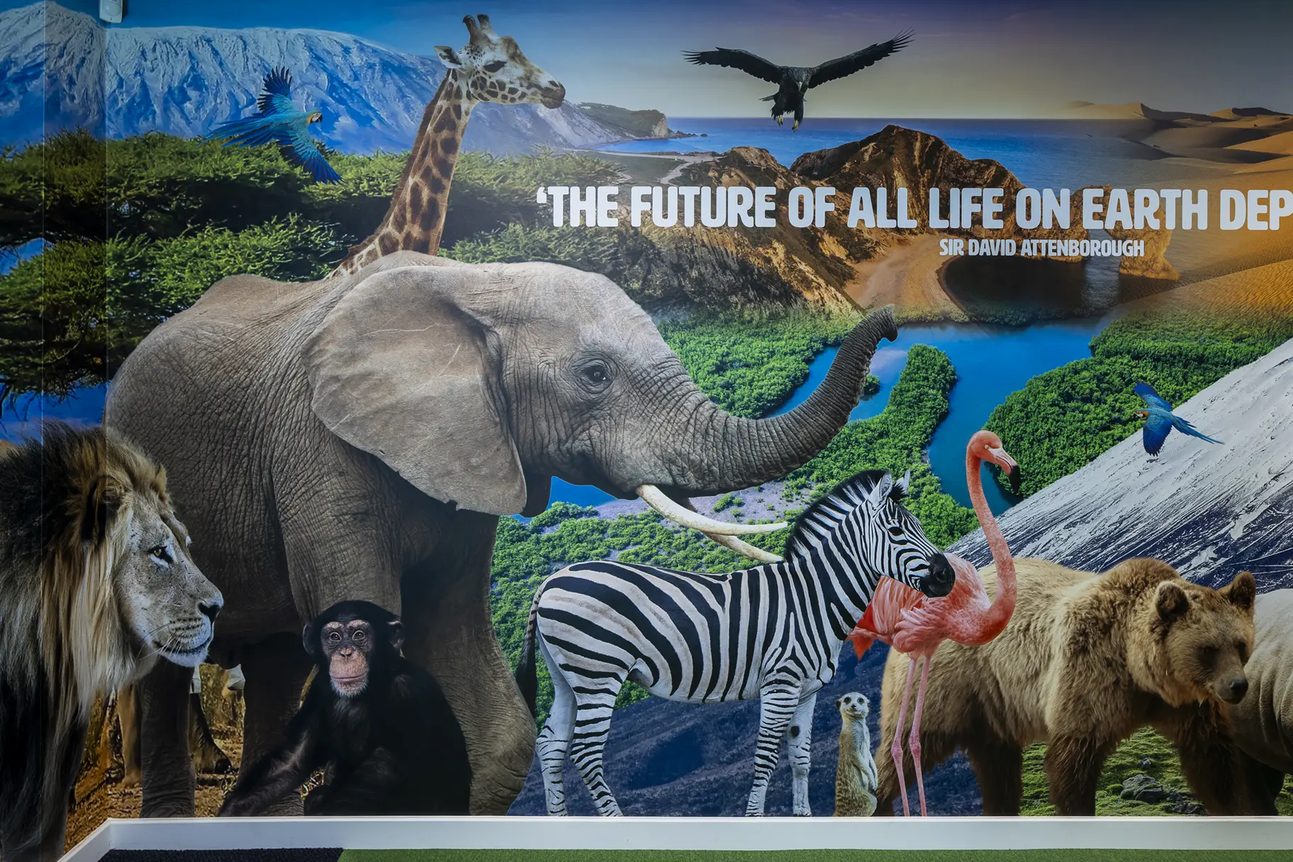 Chapel hill primary school environmental awareness wall art