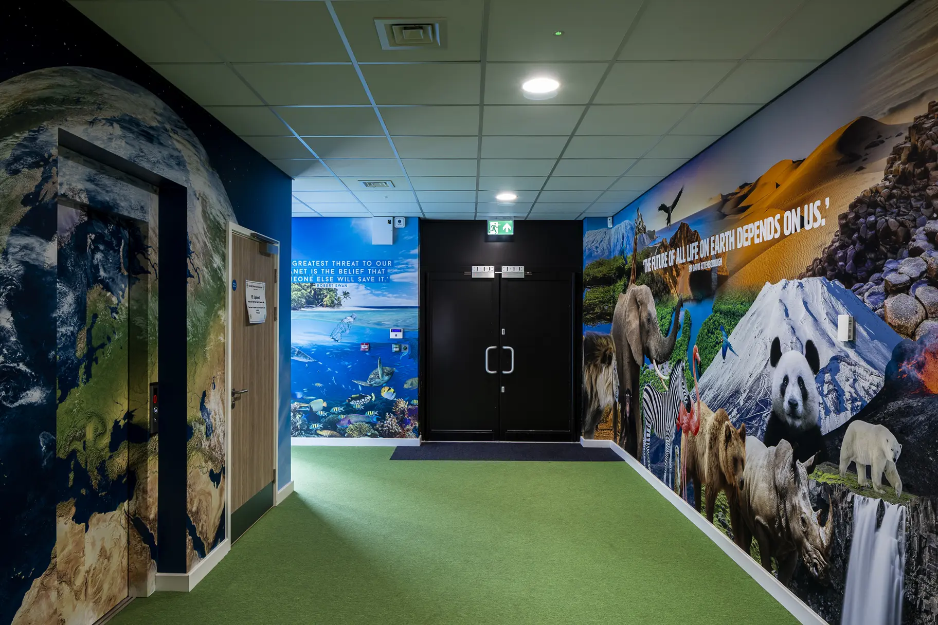 Chapel hill primary school environmental awareness wall art