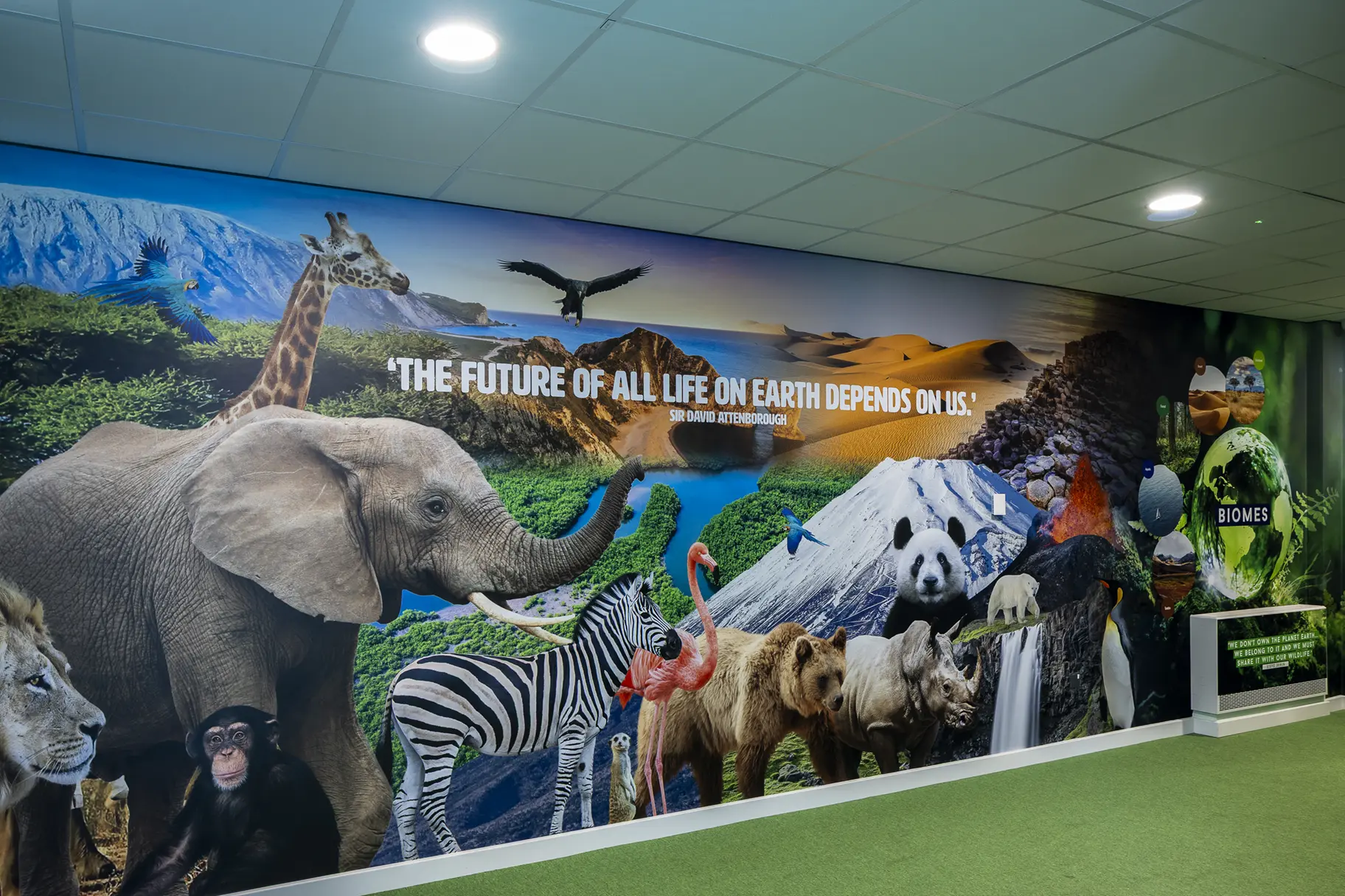 Chapel hill primary school environmental awareness wall art