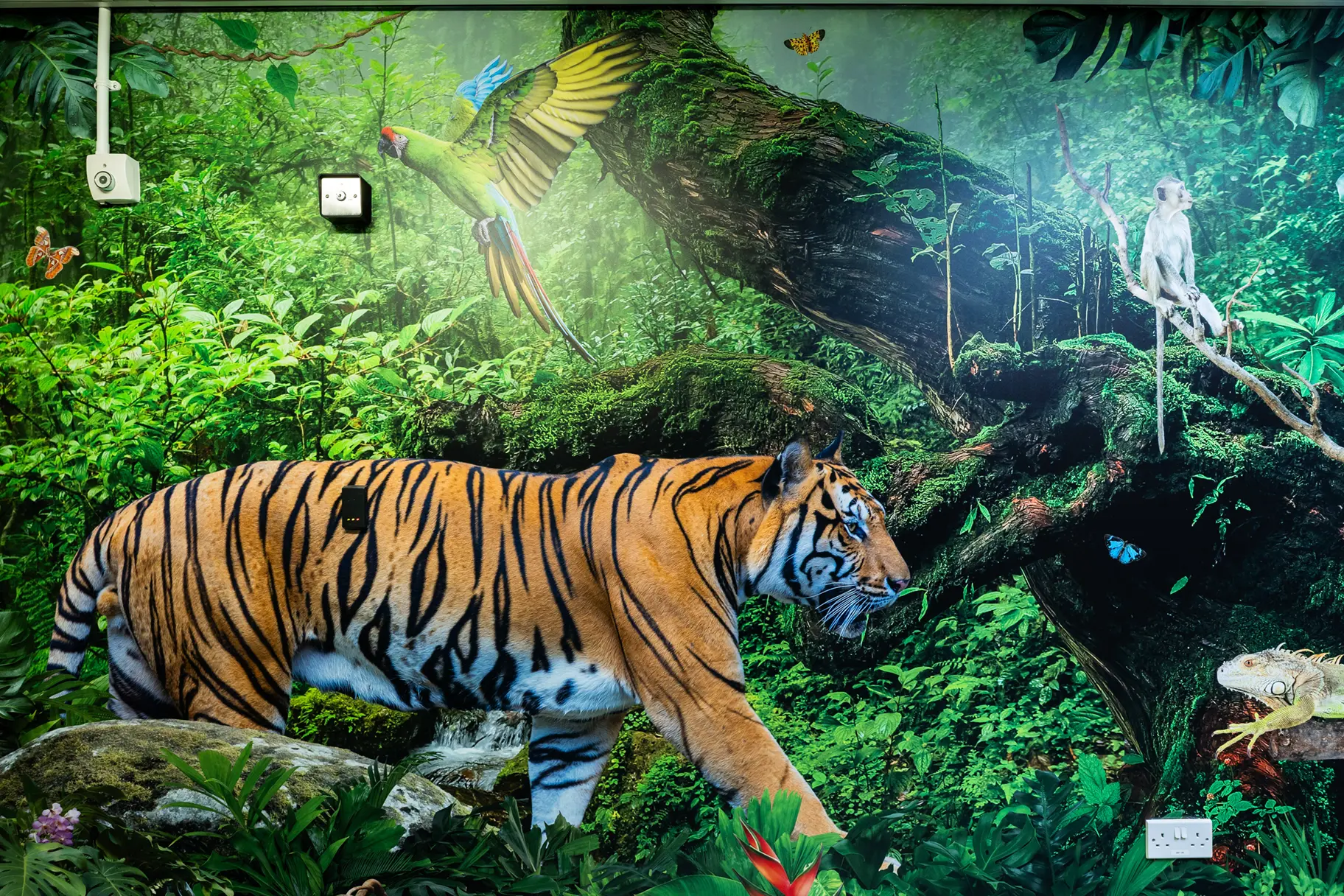 Crowdys Hill school immersive wall art