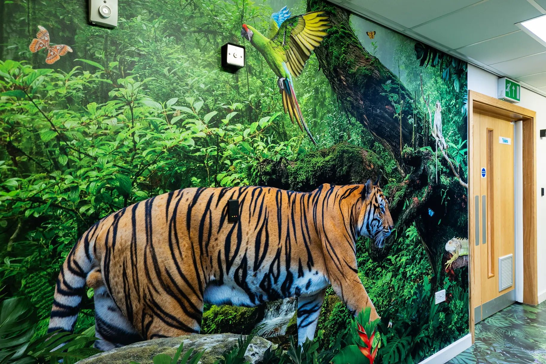 Crowdys Hill school immersive wall art