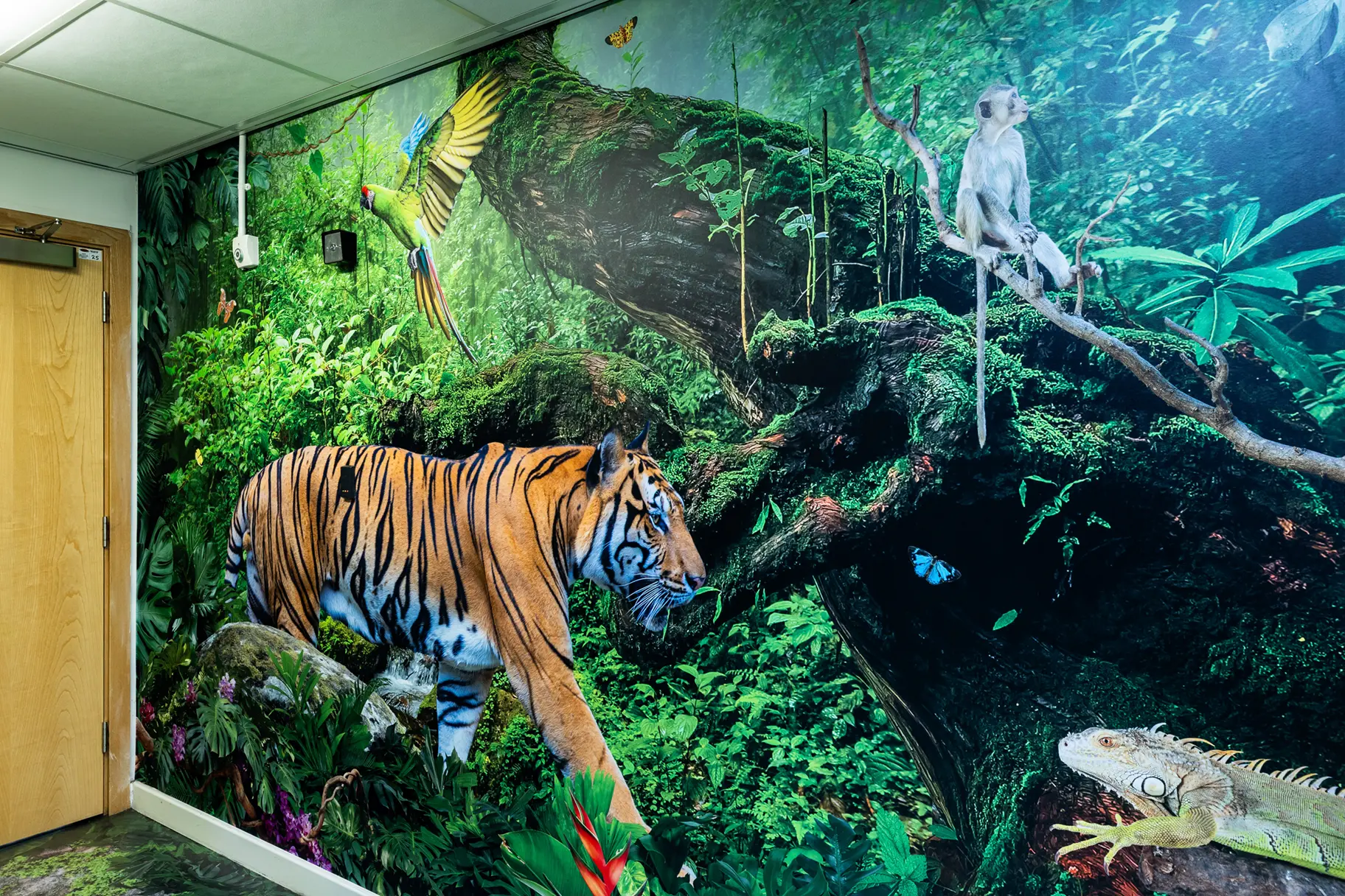 Crowdys Hill school immersive wall art