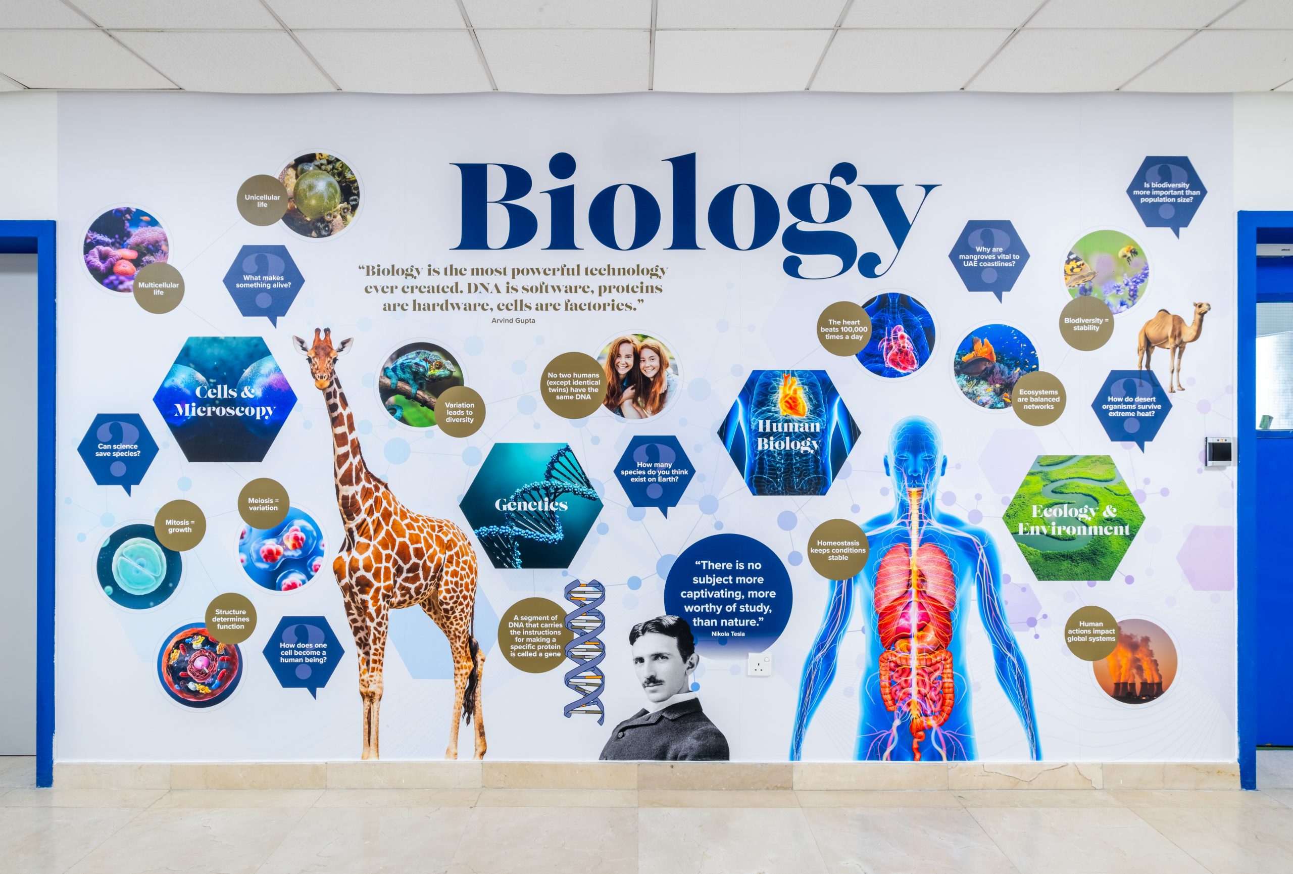 Repton school dubai biology wall art