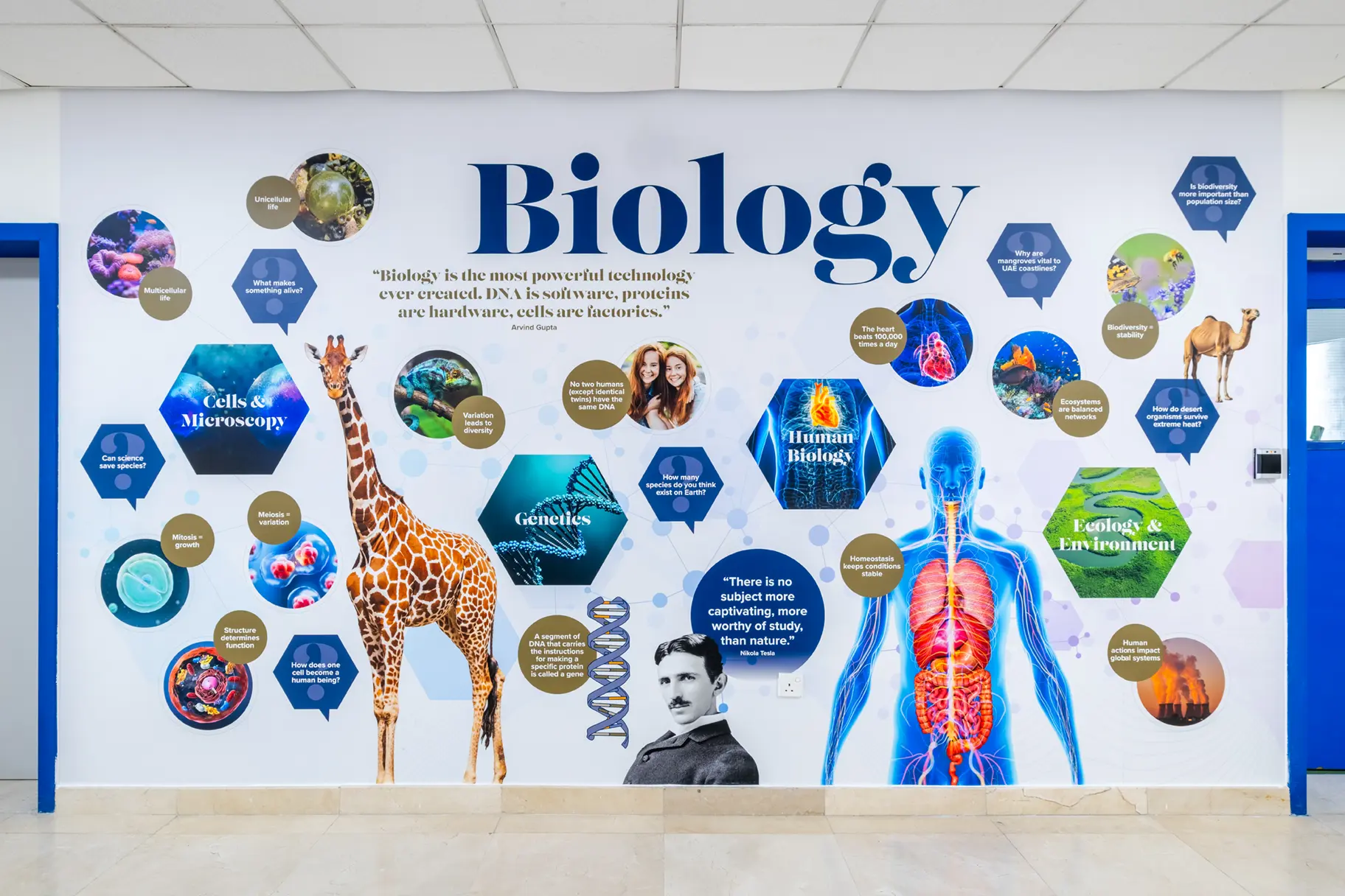 Repton school dubai biology wall art