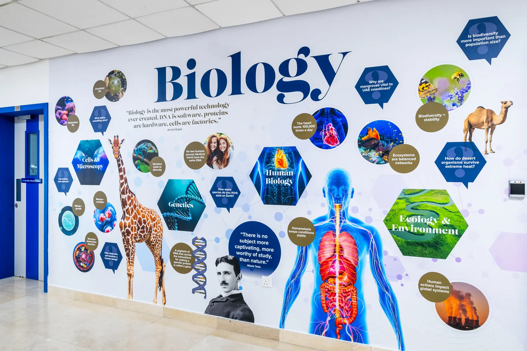 Repton school dubai biology wall art
