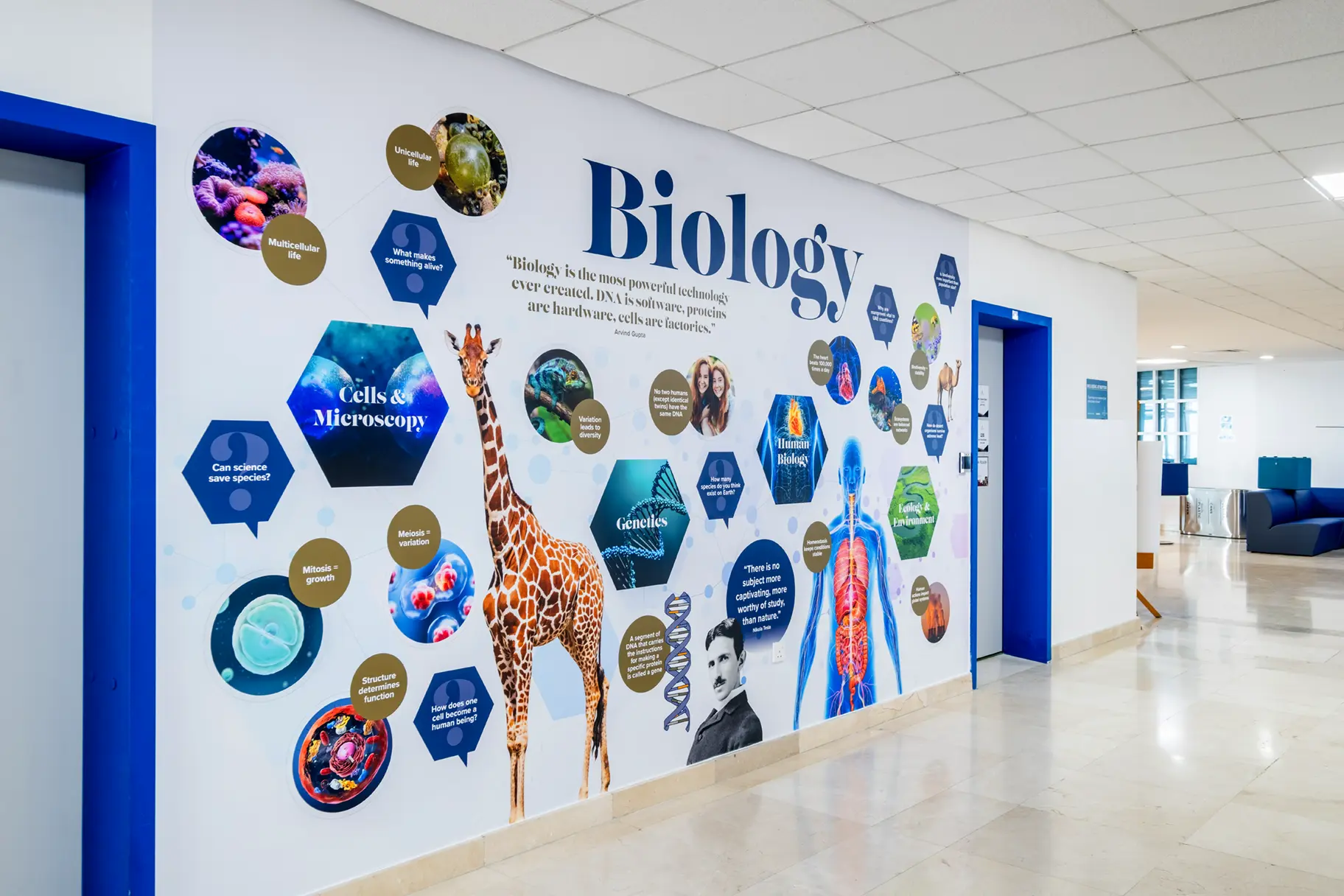 Repton school dubai biology wall art