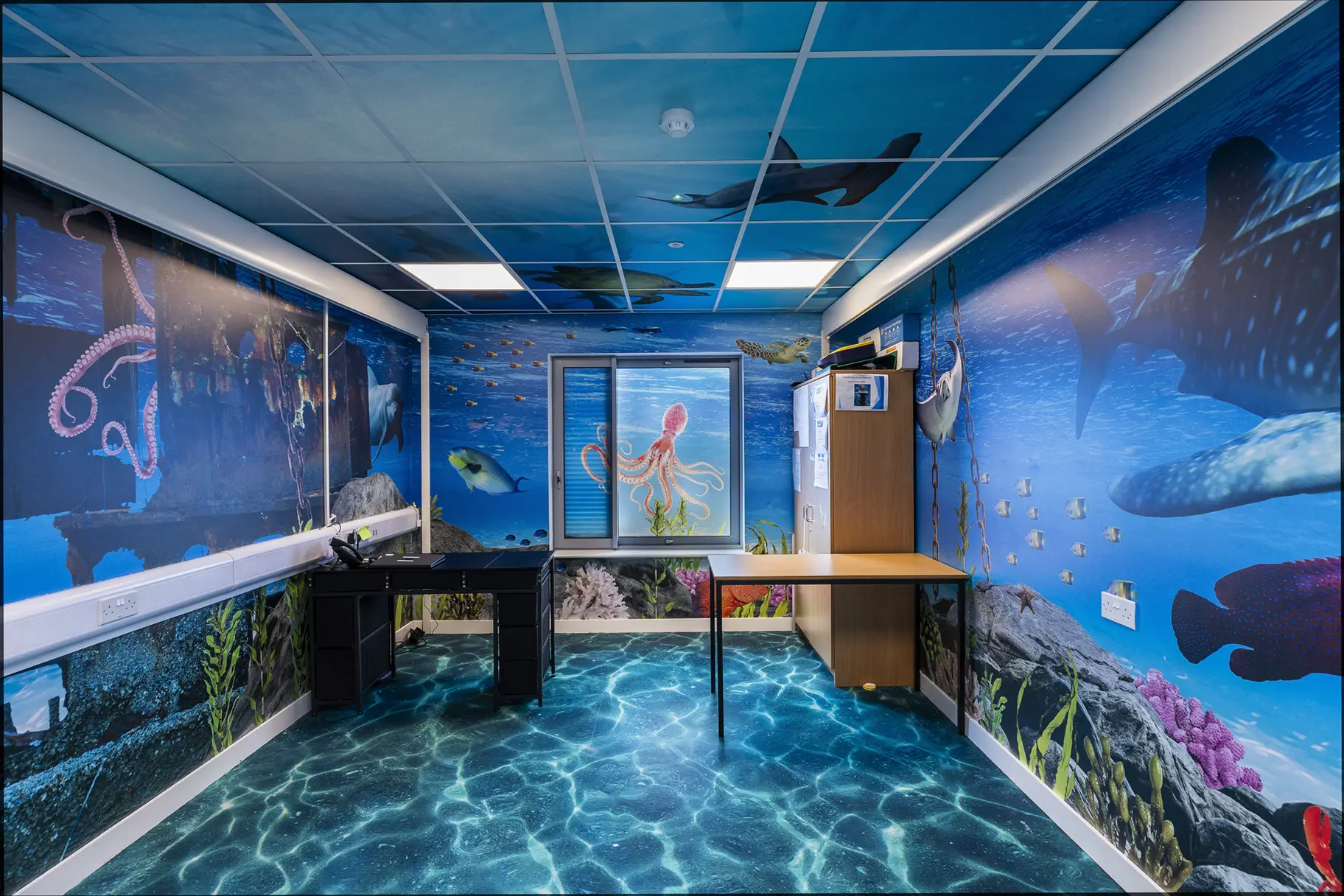 Crowdys Hill school immersive wall art