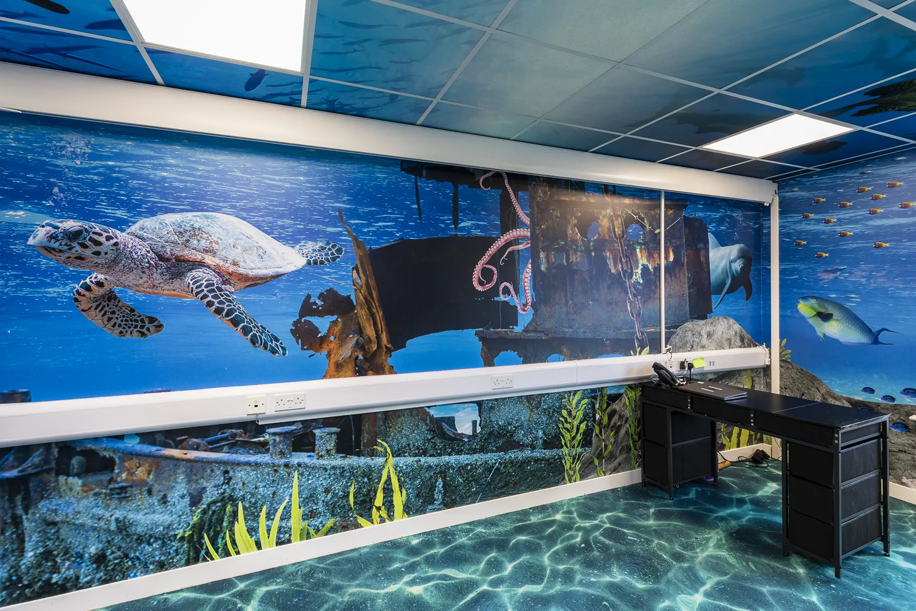 Crowdys Hill school immersive wall art