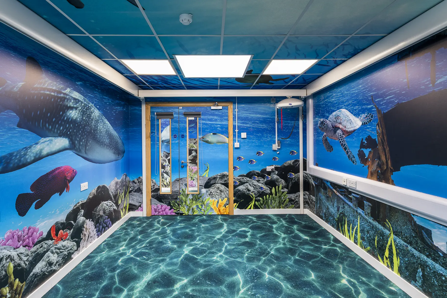 Crowdys Hill school immersive wall art