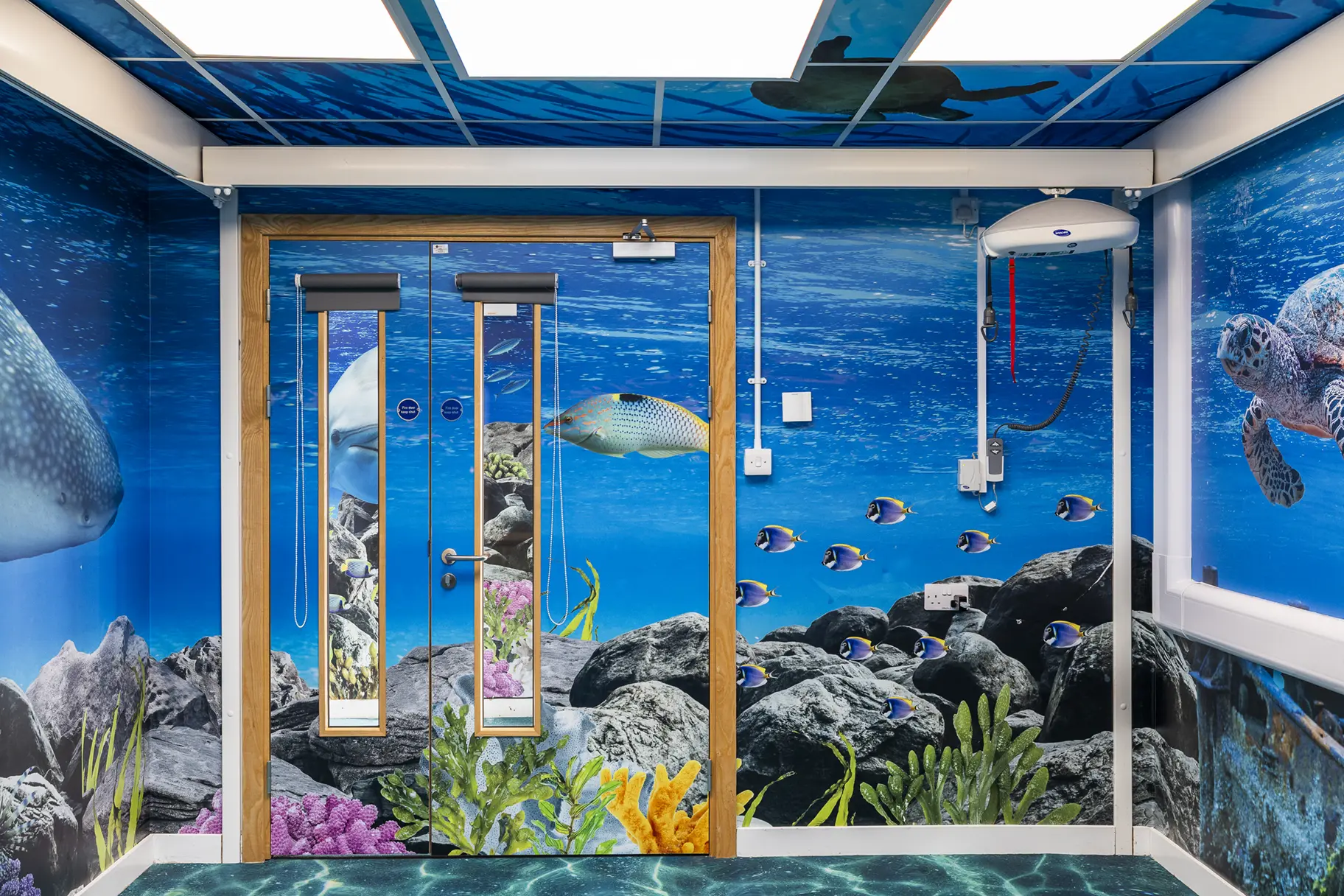 Crowdys Hill school immersive wall art