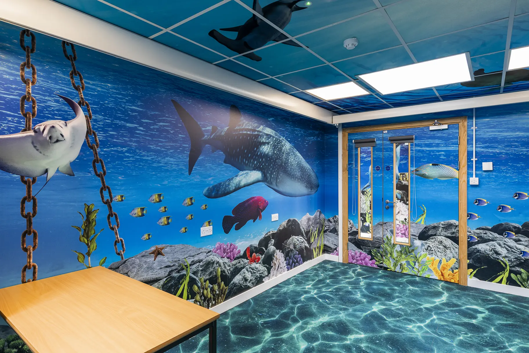 Crowdys Hill school immersive wall art
