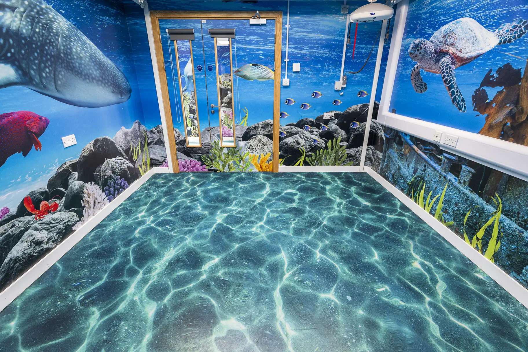 Crowdys Hill school immersive wall art