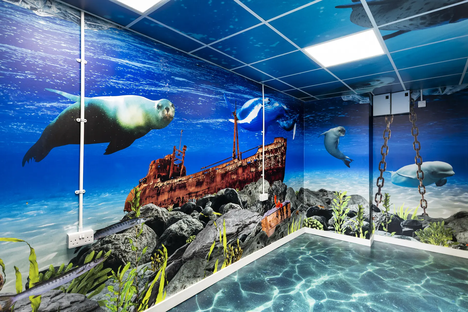 Crowdys Hill school immersive wall art