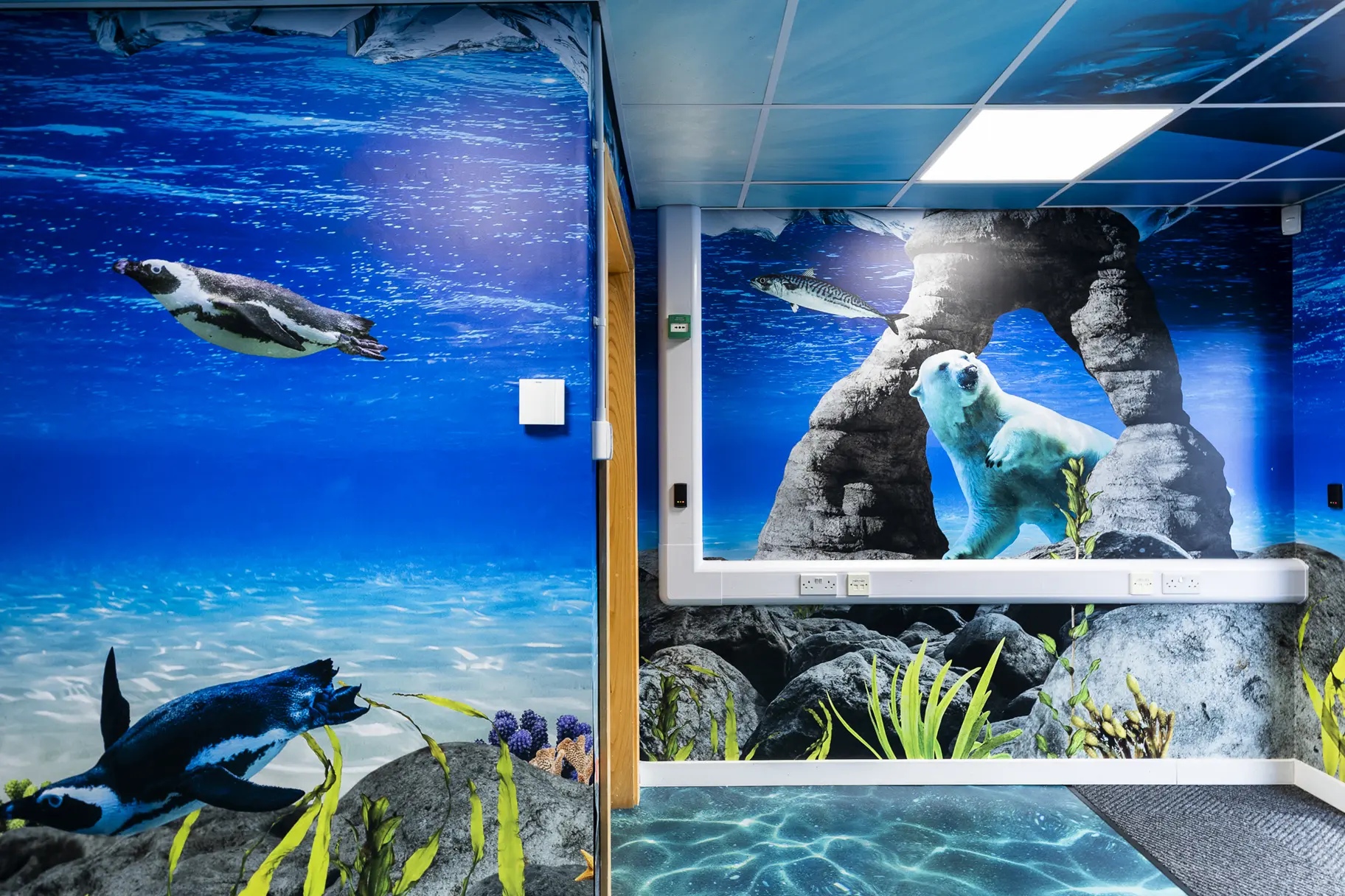 Crowdys Hill school immersive wall art