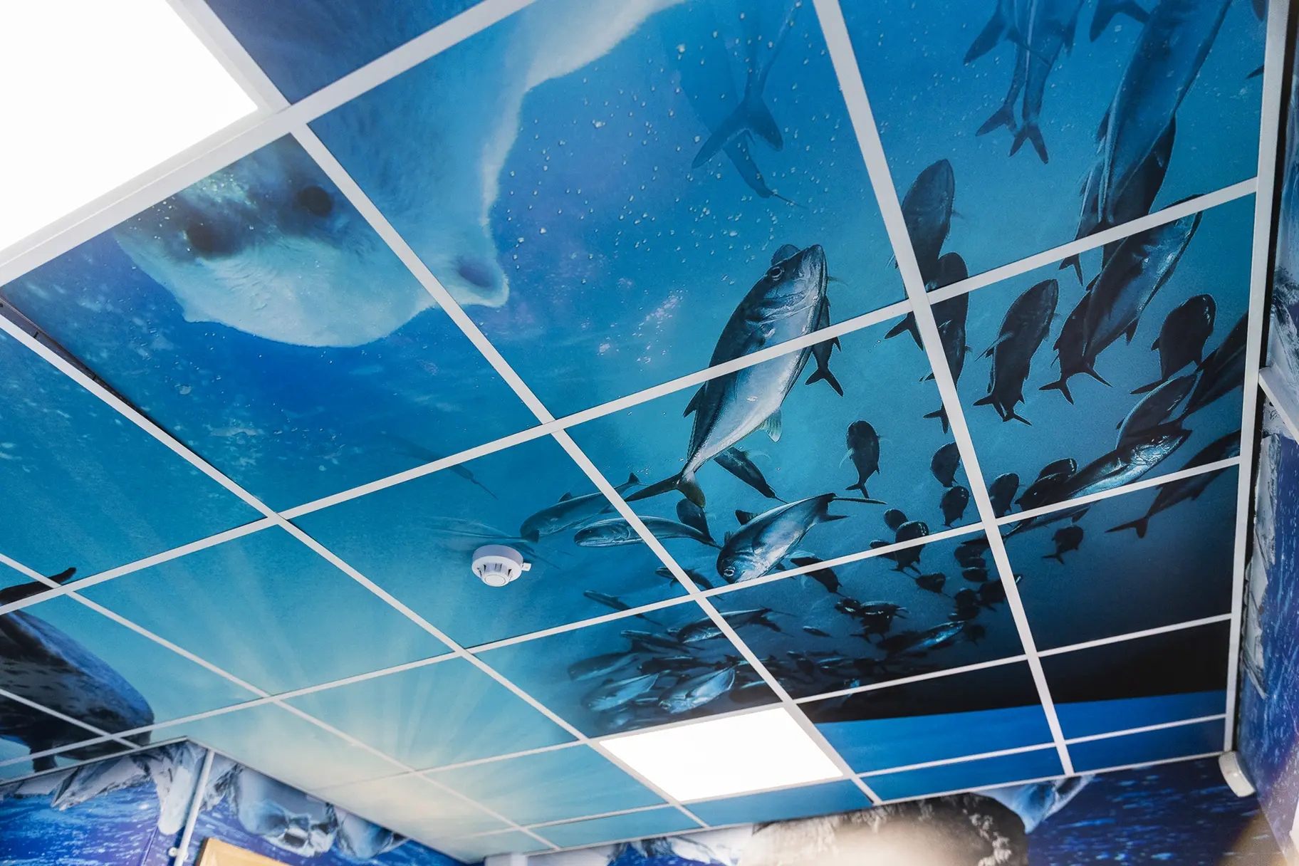 Crowdys Hill school immersive wall art