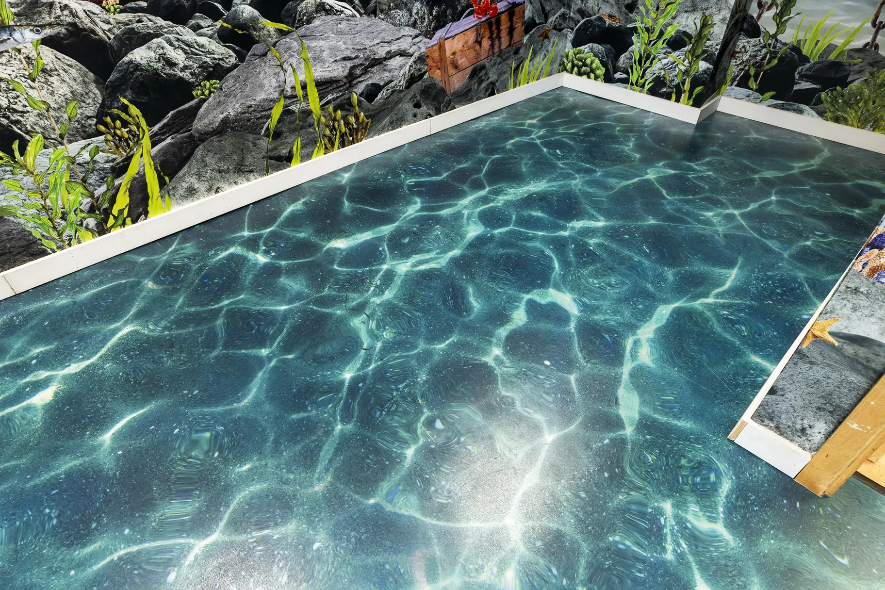 Crowdys Hill school immersive wall art