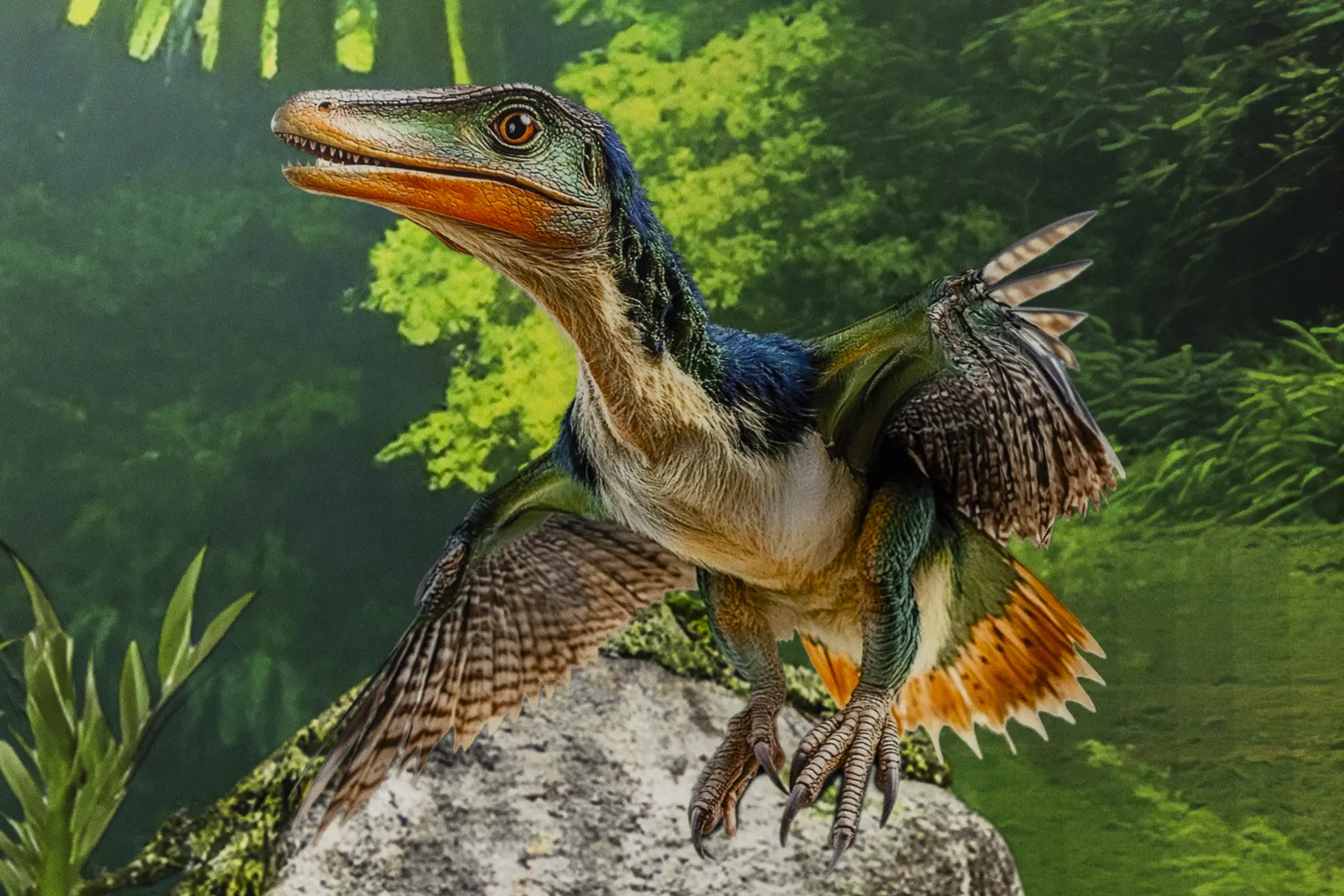 Treetops school library wall art