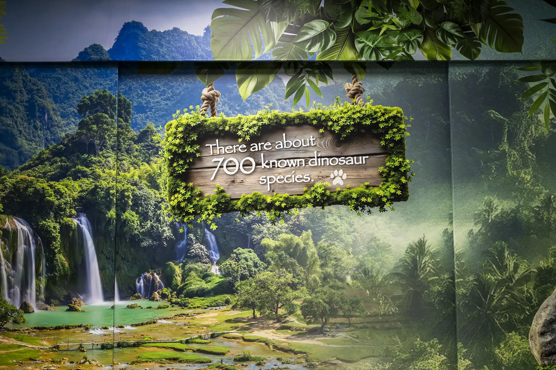 Treetops school library wall art